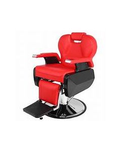 Winado Heavy Duty All Purpose Salon Chair