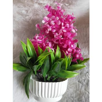 POT TREE PINK -Free Delivery