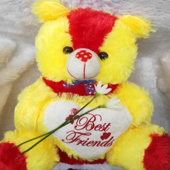 Tedy Yello colour Farr Clothing with cap and Big hart